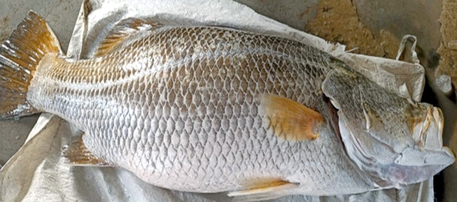 8ebb74d6-7a71-4d79-aa6b-99955de854e7