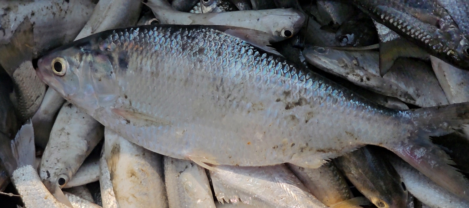 30e5aa6c-e3b0-4520-b8af-ee7c701e58cd