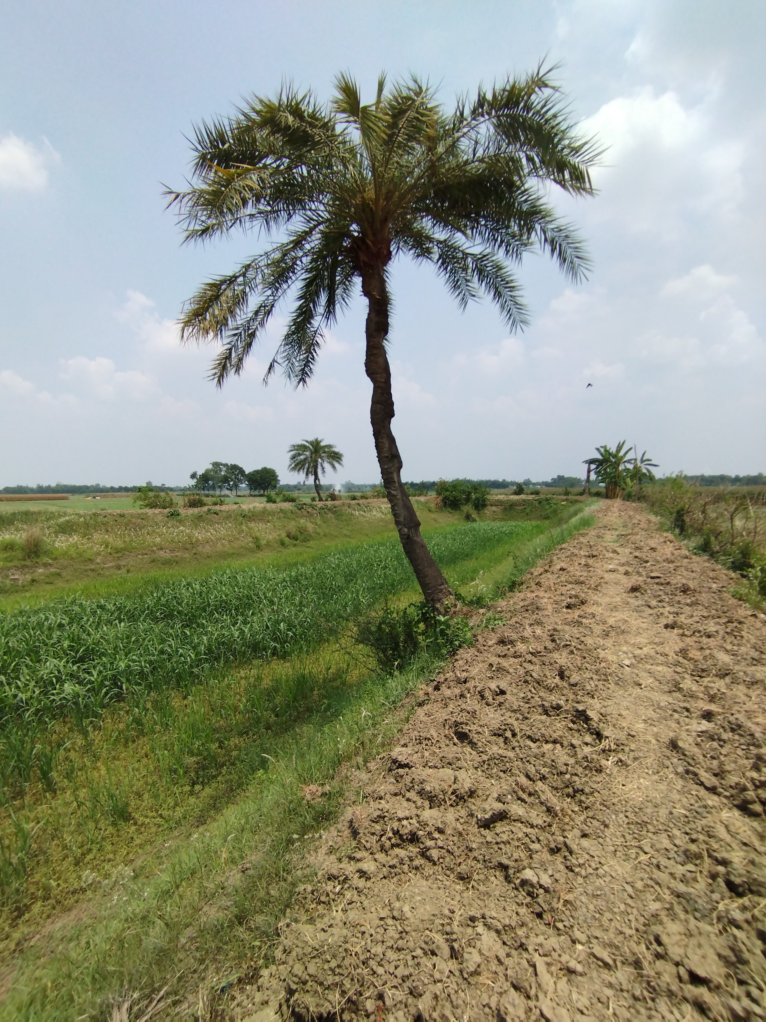 f87fb924-bada-408c-b272-02f2e0727bf5