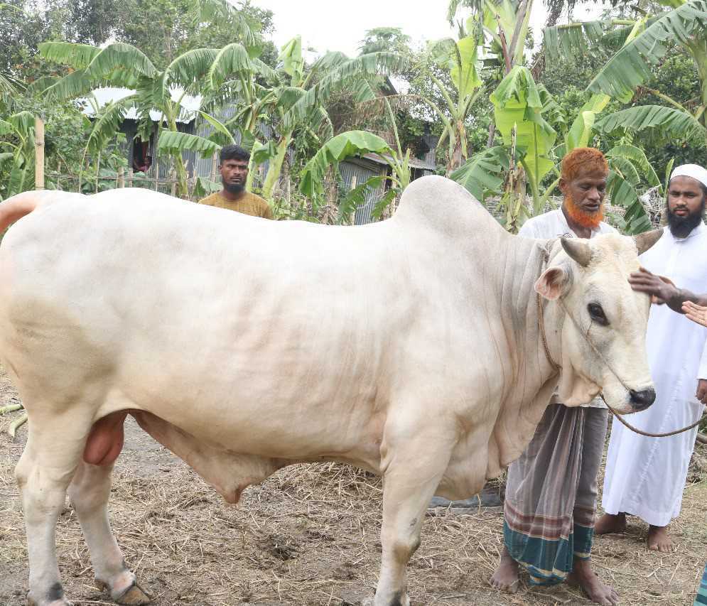 8b74e125-6b43-4186-8e25-5e1f5ae7c53d