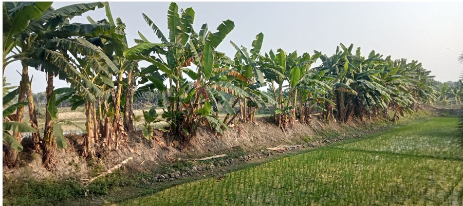 d0681f90-e2fc-4411-bfb4-1997b7c8d88e