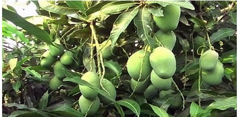 a5015290-af1e-4b8b-9bca-0e33fffd582d