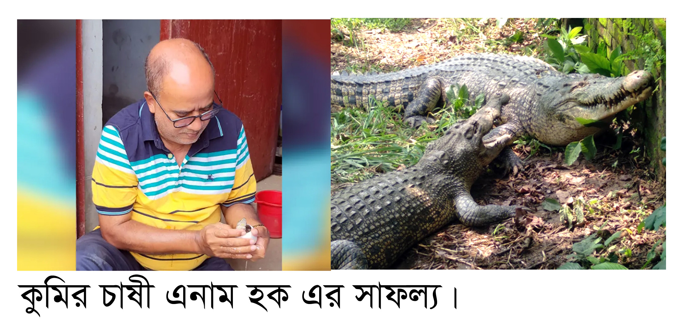 2b6ca9d2-12c6-4989-8f6c-481487338639