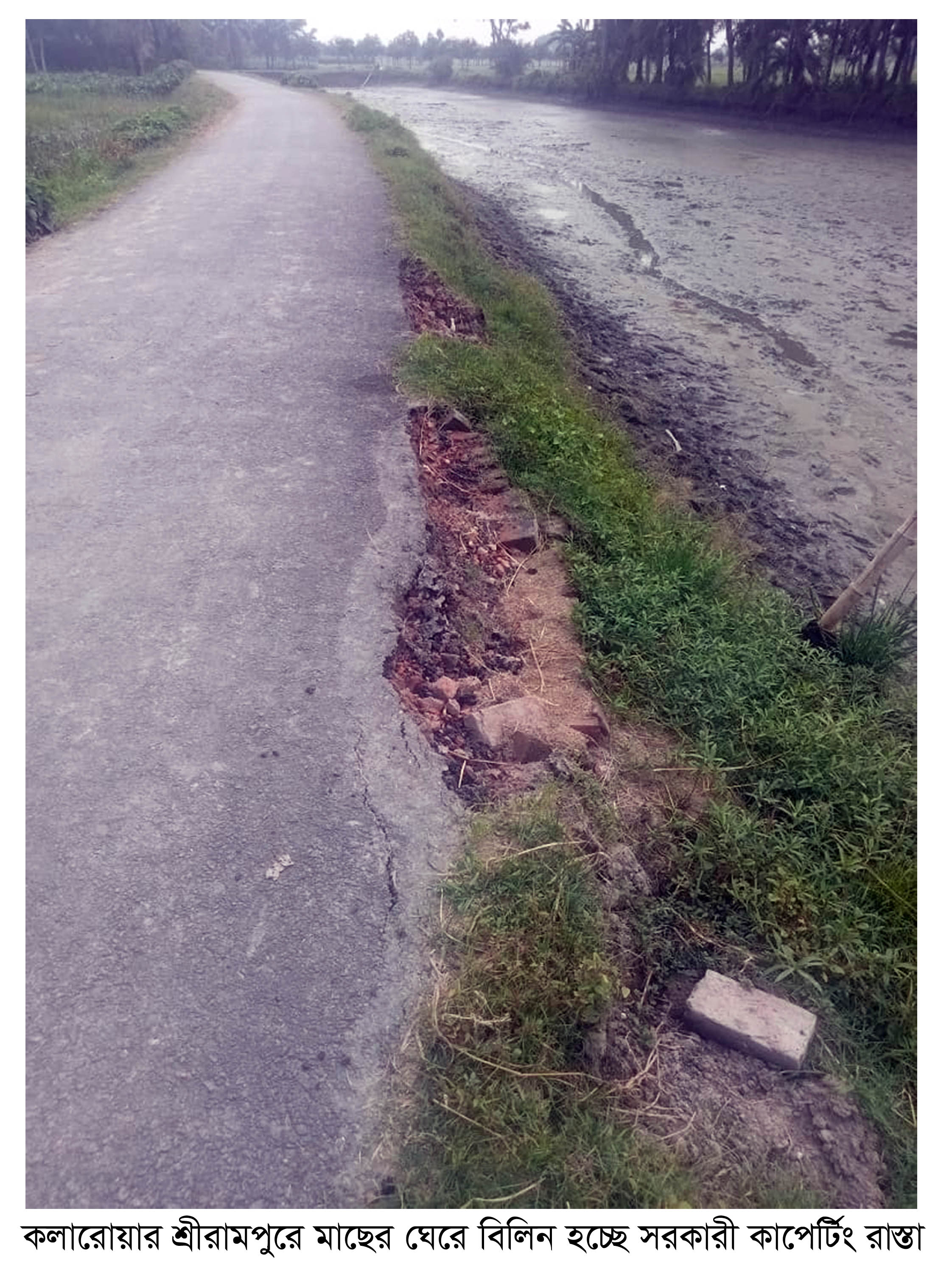 cc10ffe5-9d9c-43b0-aecf-45b2ceeb78ed