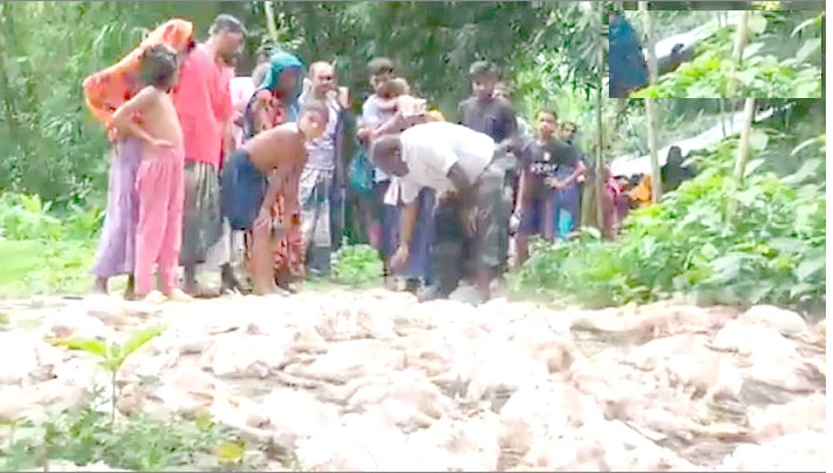 3101270b-dbe2-4732-a431-4d49ab623f0e