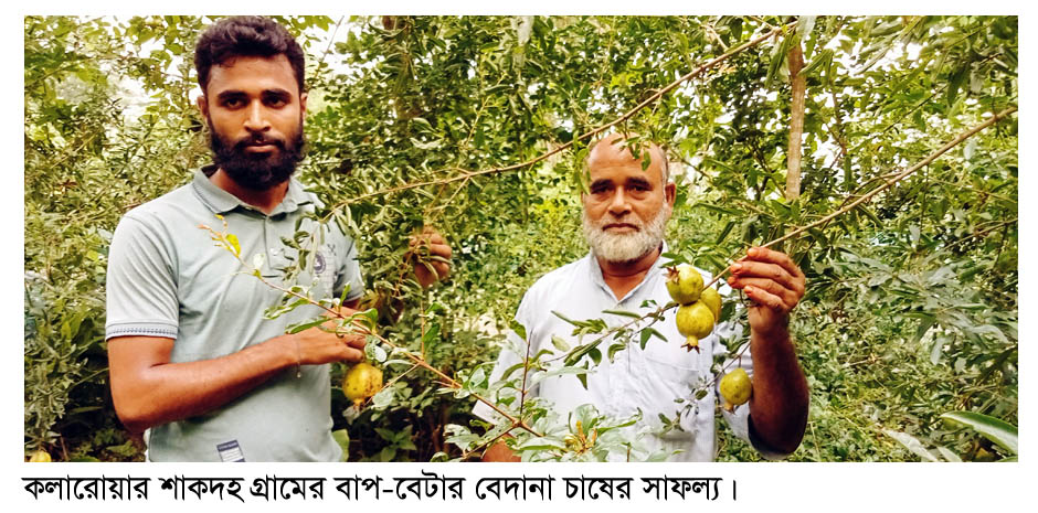 239f81a1-6f7f-4c5f-addd-bfb56d93bcfe