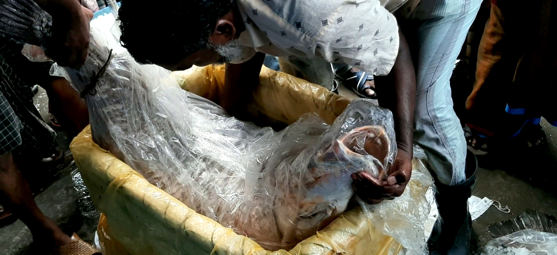 662d75d8-051a-46ae-99e2-d8357d3d4bf3