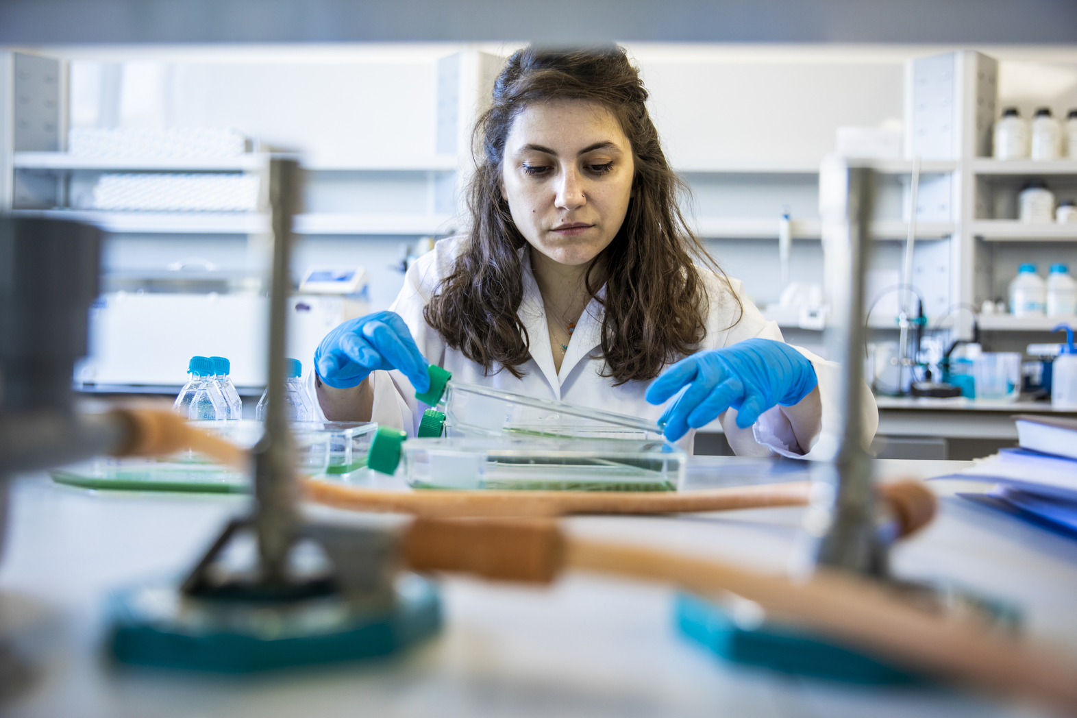 0ead7f04-636c-433f-ba3b-f7ae74b8ee2f