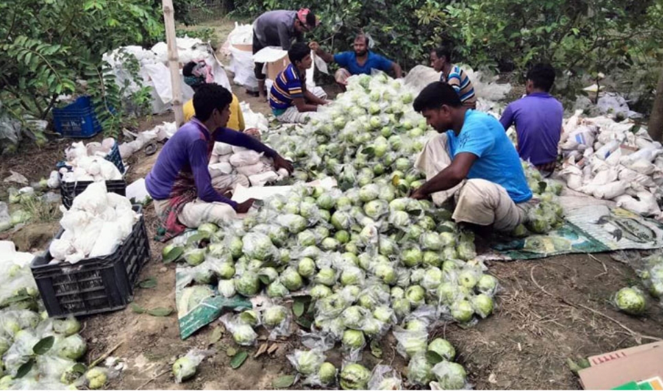 9aeb2aeb-545d-429b-9075-3ac4ff4a3d93