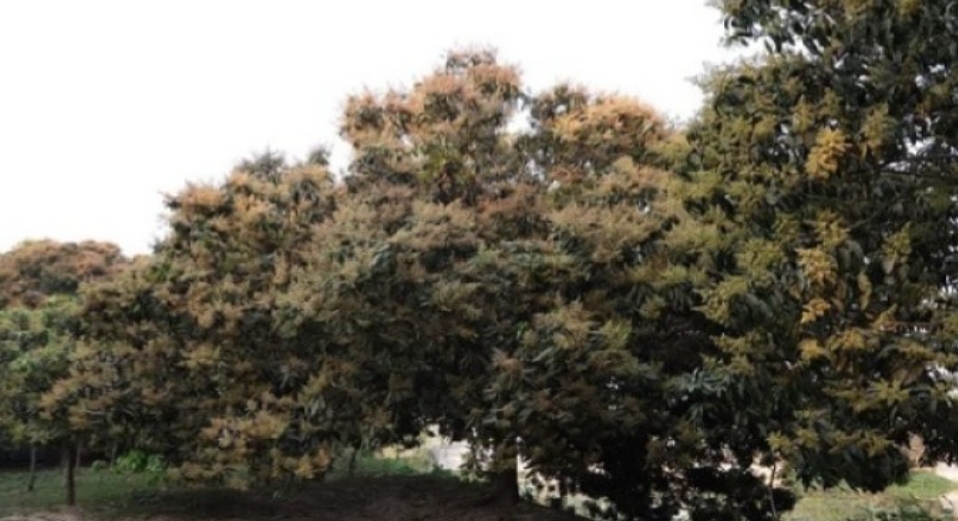 0af5ffee-a904-490d-b683-8bad26880da6