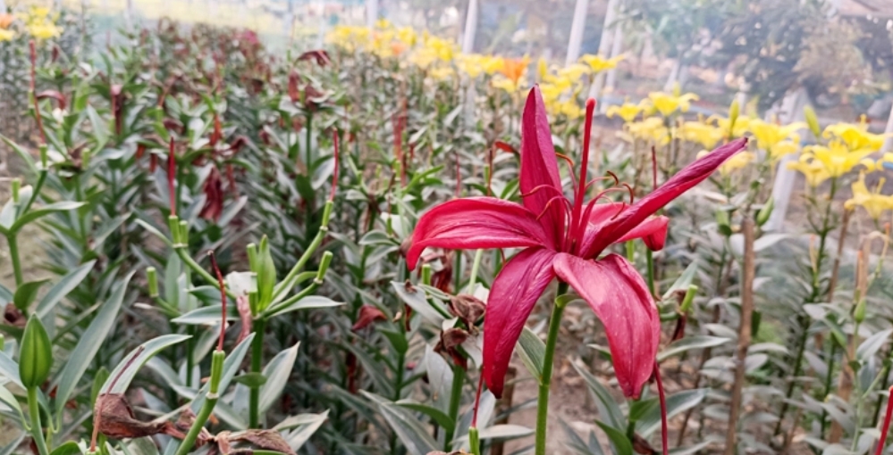 914e13e9-5440-48e2-ad86-54c23dc6ab2d