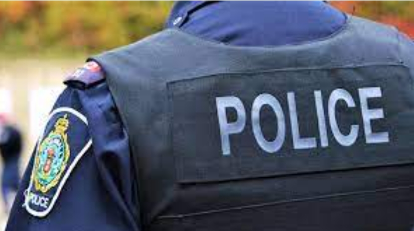 9074f8e4-a16a-41d7-b5f0-039464385d20