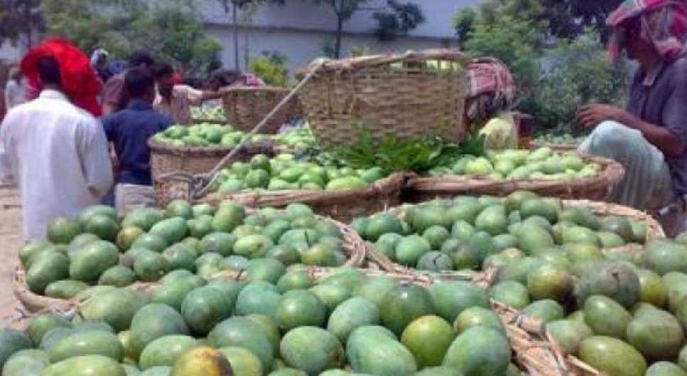 a180c7f9-7770-494a-a17d-f2cd37dcf7ec