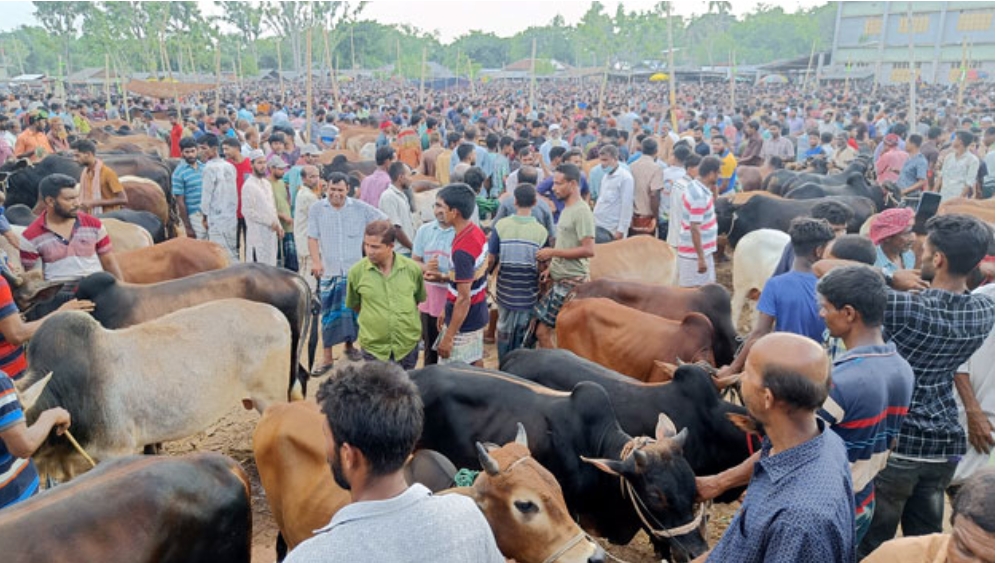 990826f6-3fb8-431d-840e-2289bde79666