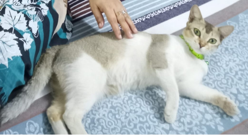 409dd9ff-f873-4b74-b88a-1ef7b24b8c43