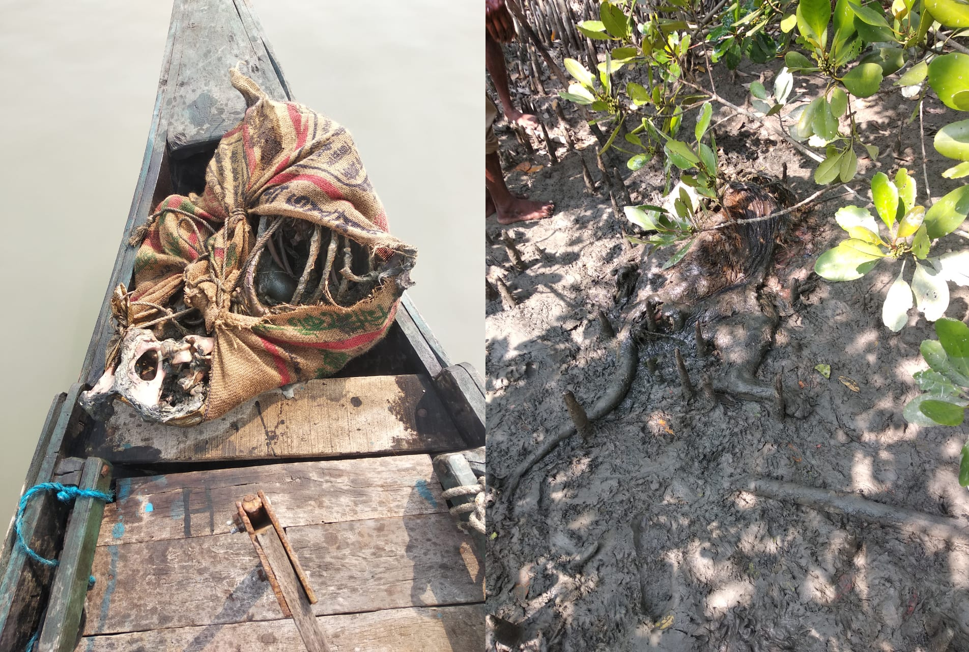 412d41ad-f0c2-4c5b-9429-4d8a0cd1a25b