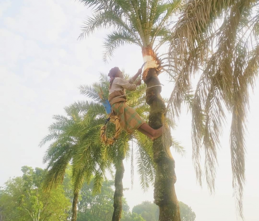 cde8d61f-664e-4830-b5c9-9a5170d1c16f