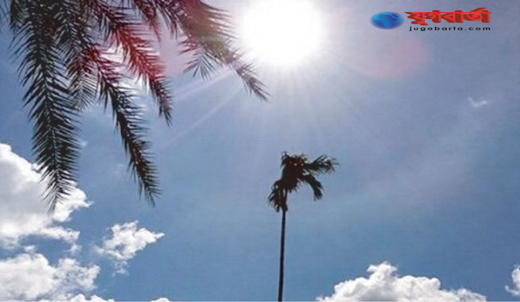 c739e5ce-81e4-410c-a8df-2633f1e3173f