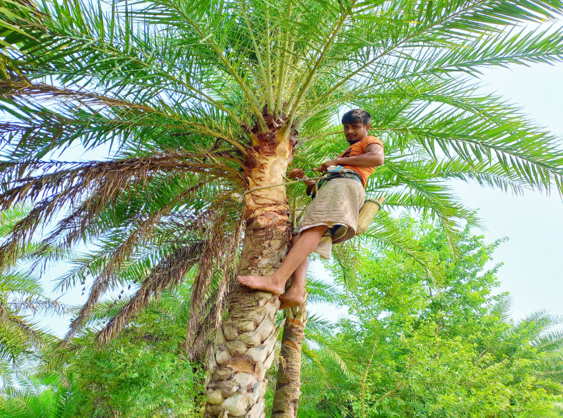 276b420c-5205-469c-8522-f3f079c71e7c