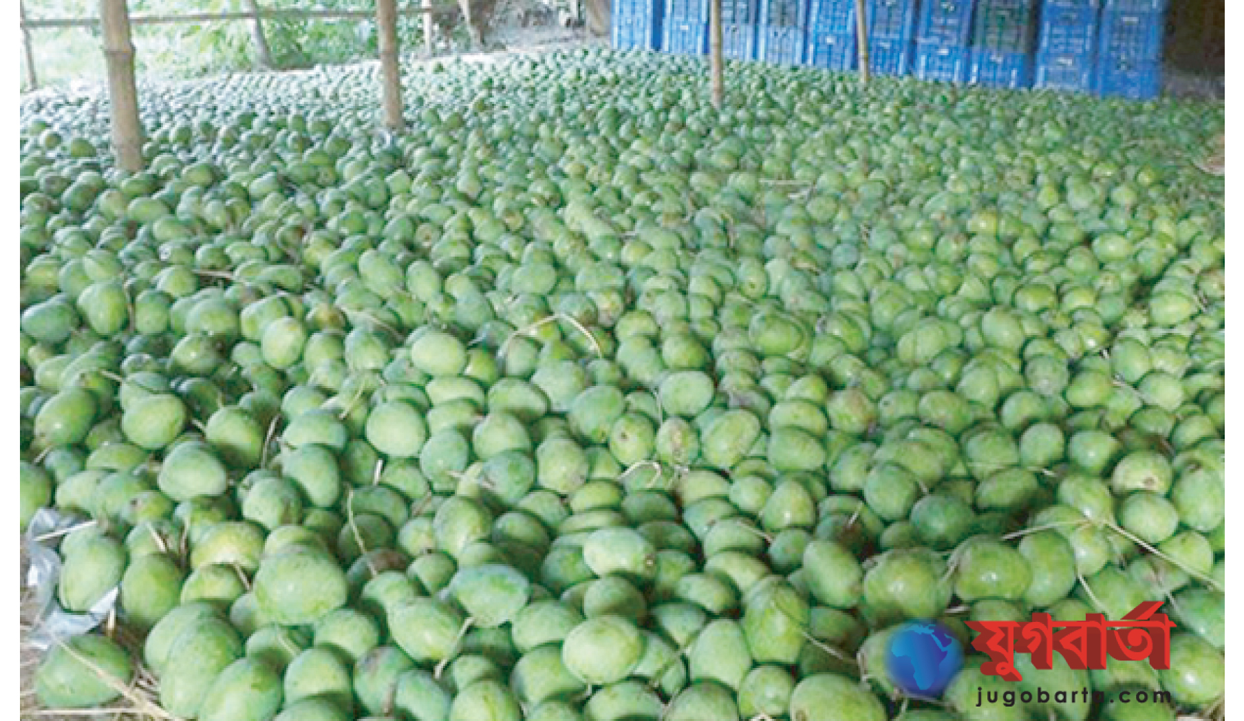 da9ca858-b8bf-48df-9df0-3d275958efc4