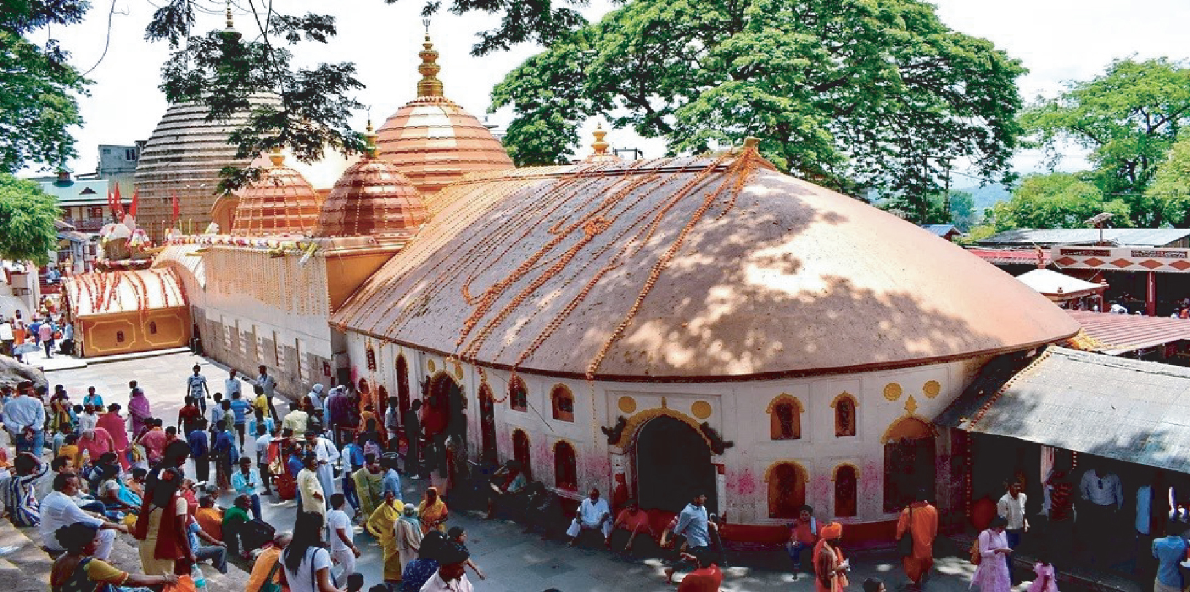 1dedea6f-f52b-49dc-92e1-2e36ac512c88