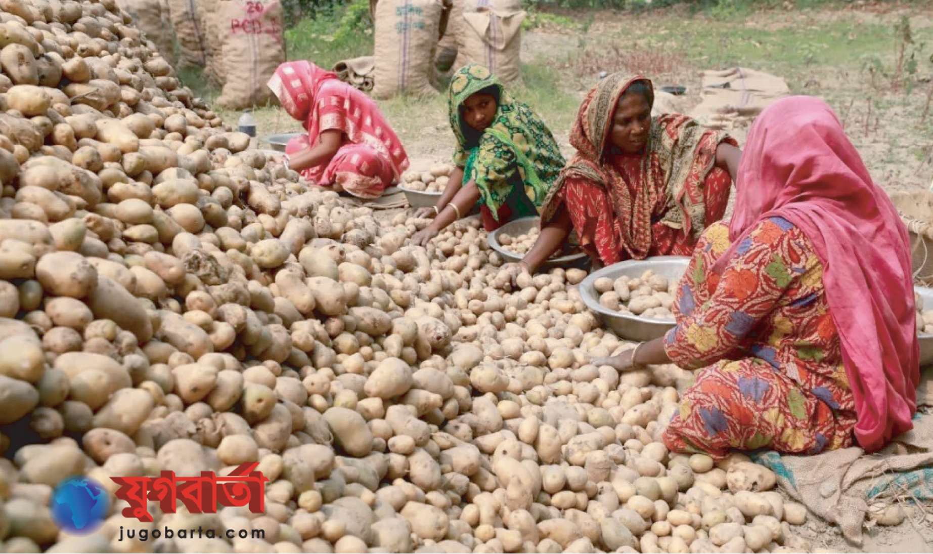 ff61c85d-0190-4b4c-9cd2-a7a9e331e6f2