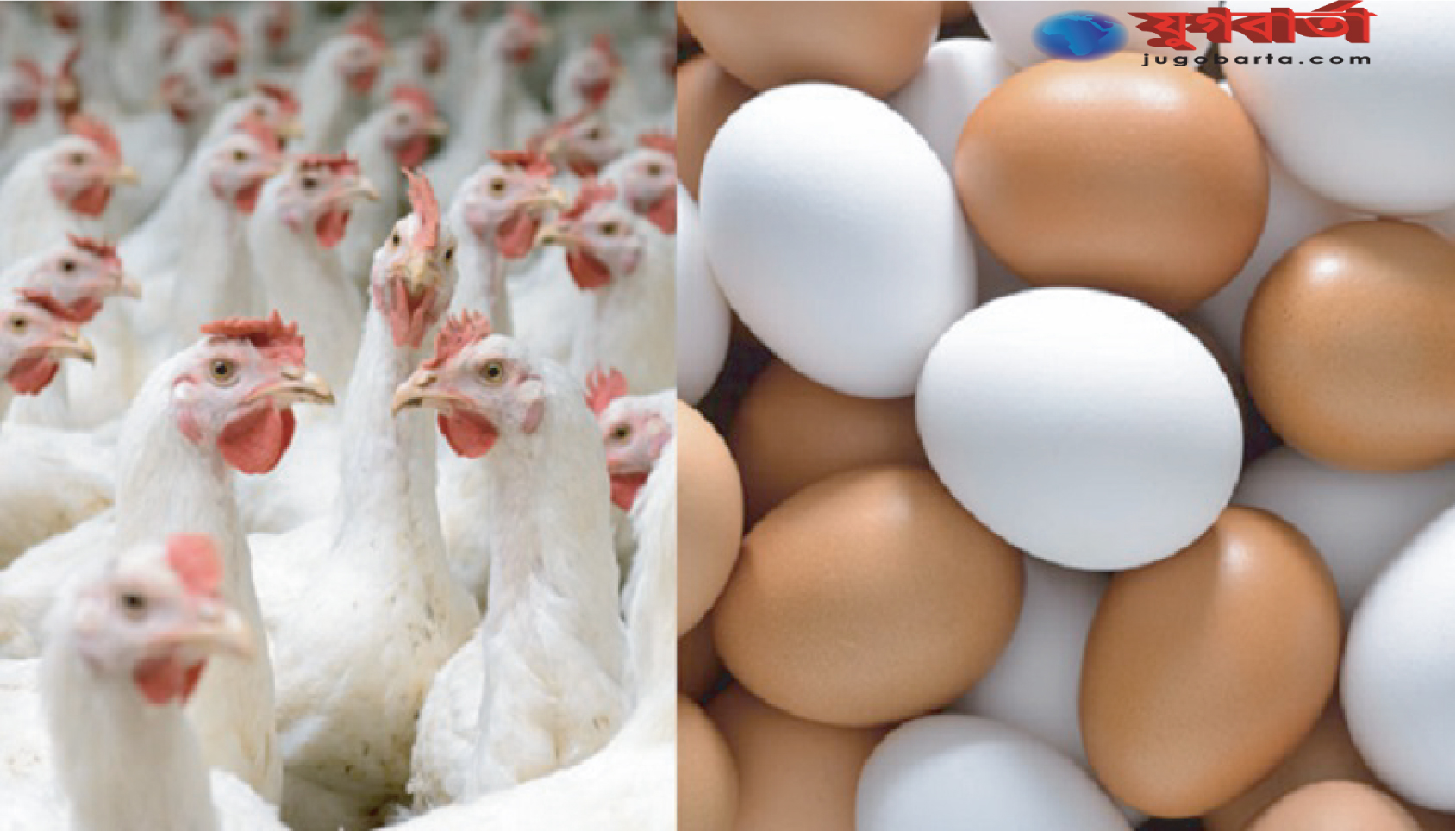 4d0f03b4-fb6b-4a97-b217-a174812f345b