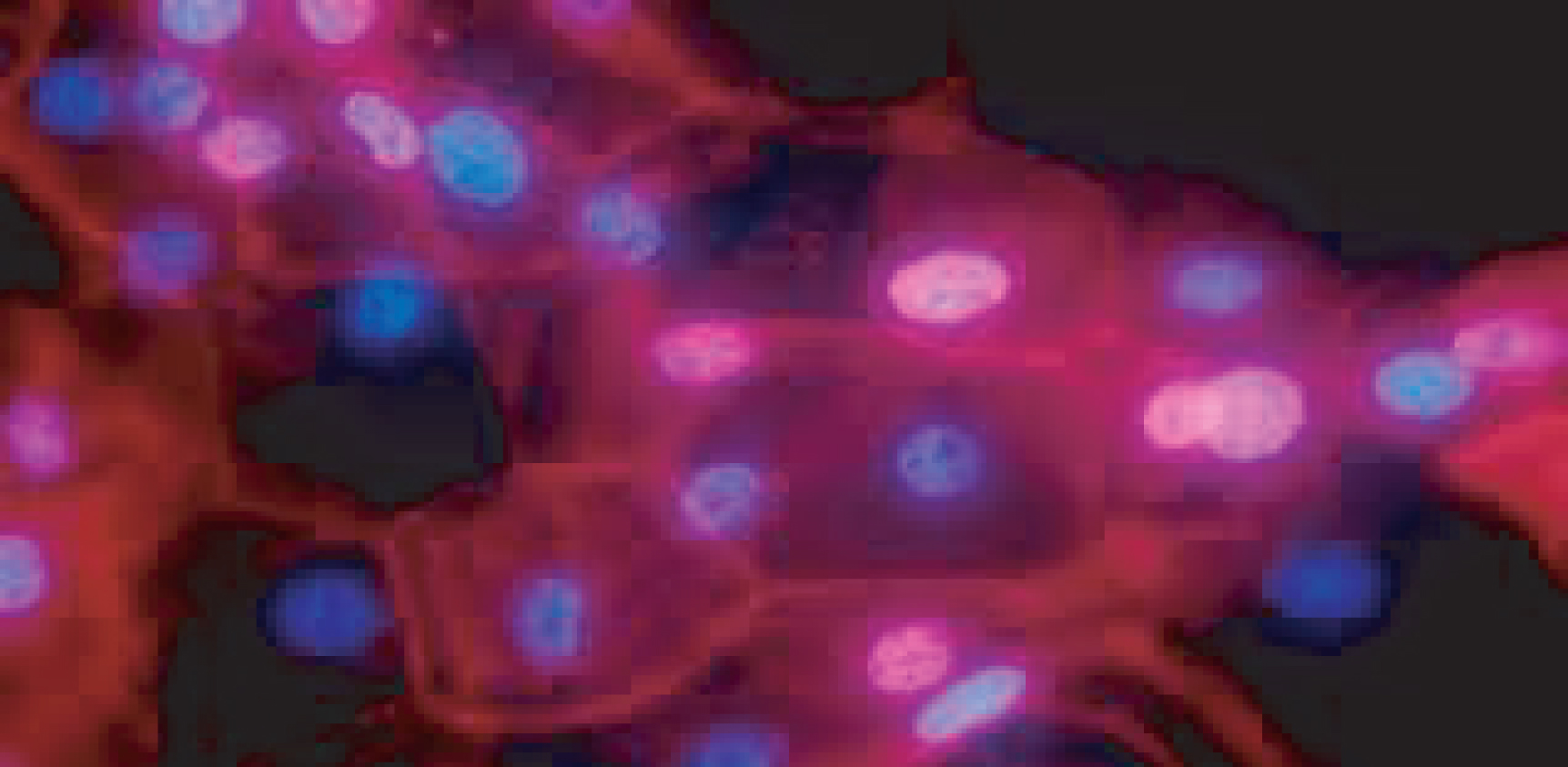 7ed70669-1d65-4fad-aecb-f22ca9b7afeb