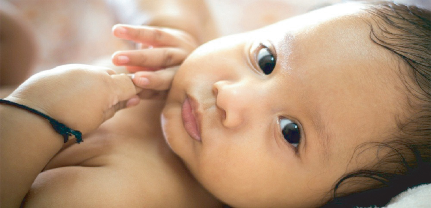 9315739a-bfc2-44b6-b3c0-ae1c8bbc69ac