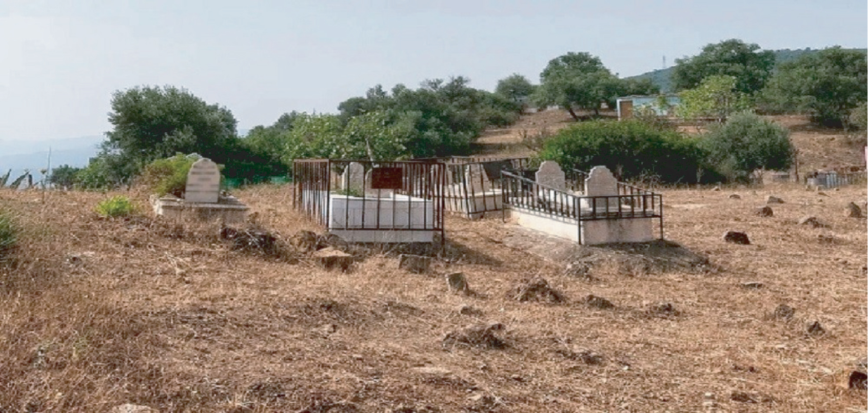 79f83af6-af23-4708-8283-2ba1ab5adcc7