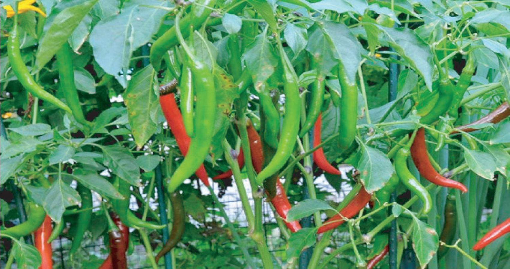 33c223f2-d26c-49b3-8493-846647bdc6e9