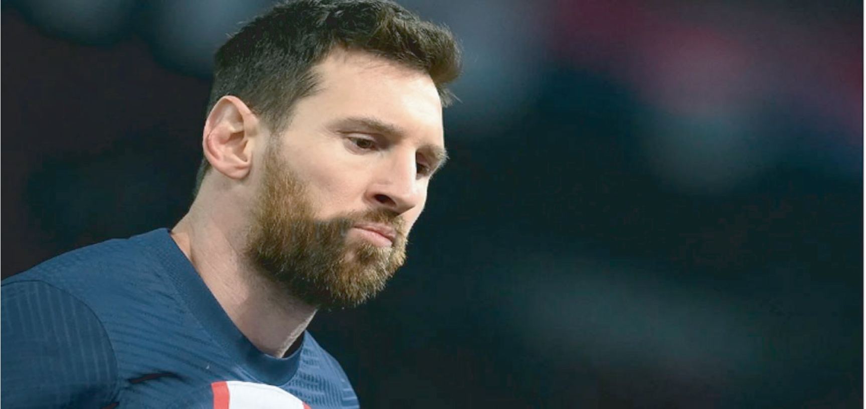 01bc5593-79e3-48a5-b5b2-8ca14c9d1ba6