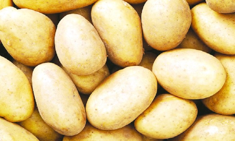 1af7f41d-0336-43d0-98f4-503d26f897cd