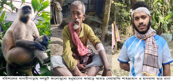 cf513121-9f14-40e6-8813-f5baf22e2a6e