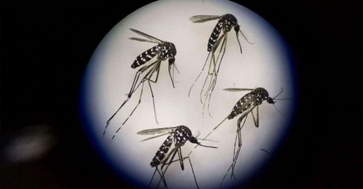 6ff209cb-39c0-4b86-baf4-1f03a7d2bb0d