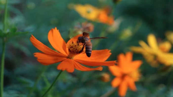 df0ae9f9-6bd5-483a-b21d-ed10029a30e5