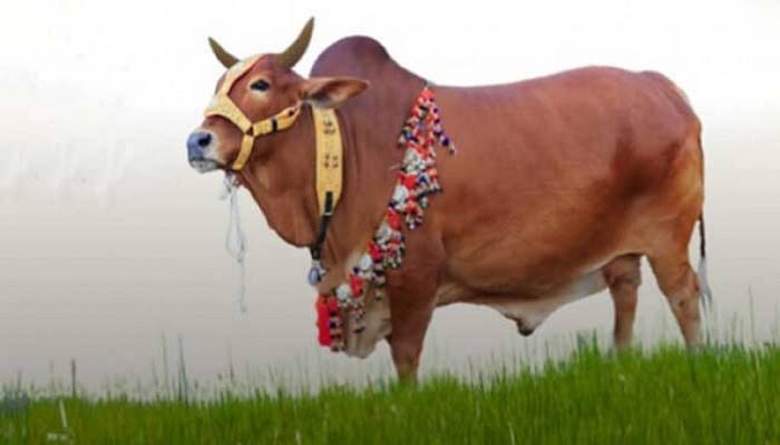 03a5bced-b309-41f5-baa7-0c5df6192b51