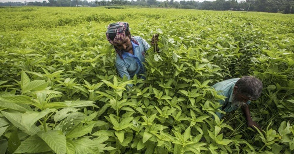 50c25b6d-5525-4335-8f4e-49e7379684f0