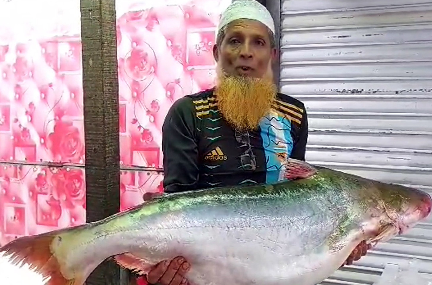 13bea71a-87e5-4795-9458-65fd3346817a