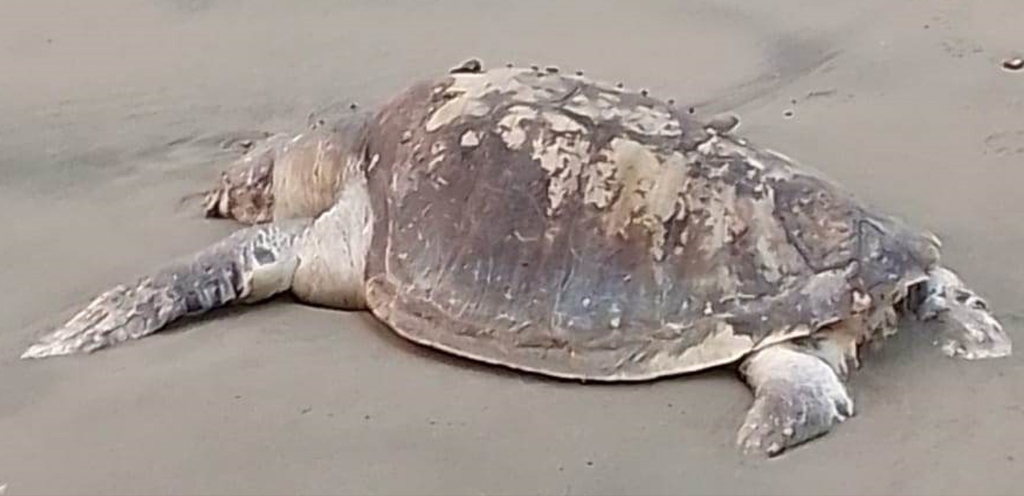 53749d41-4844-4b0d-8354-c8e85948cf15