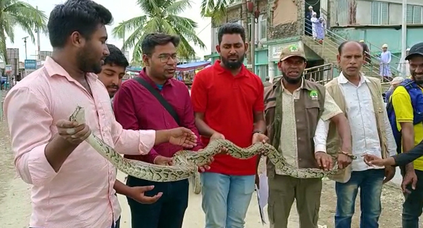 b115adf5-4aea-4015-99d4-29d482a9a673