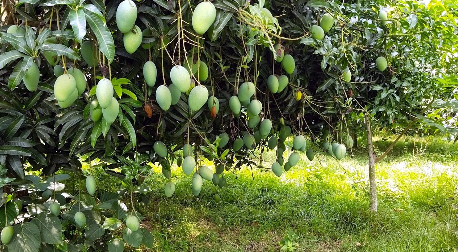 447b078e-3c8c-4bde-8acb-8a2554fd3f5a