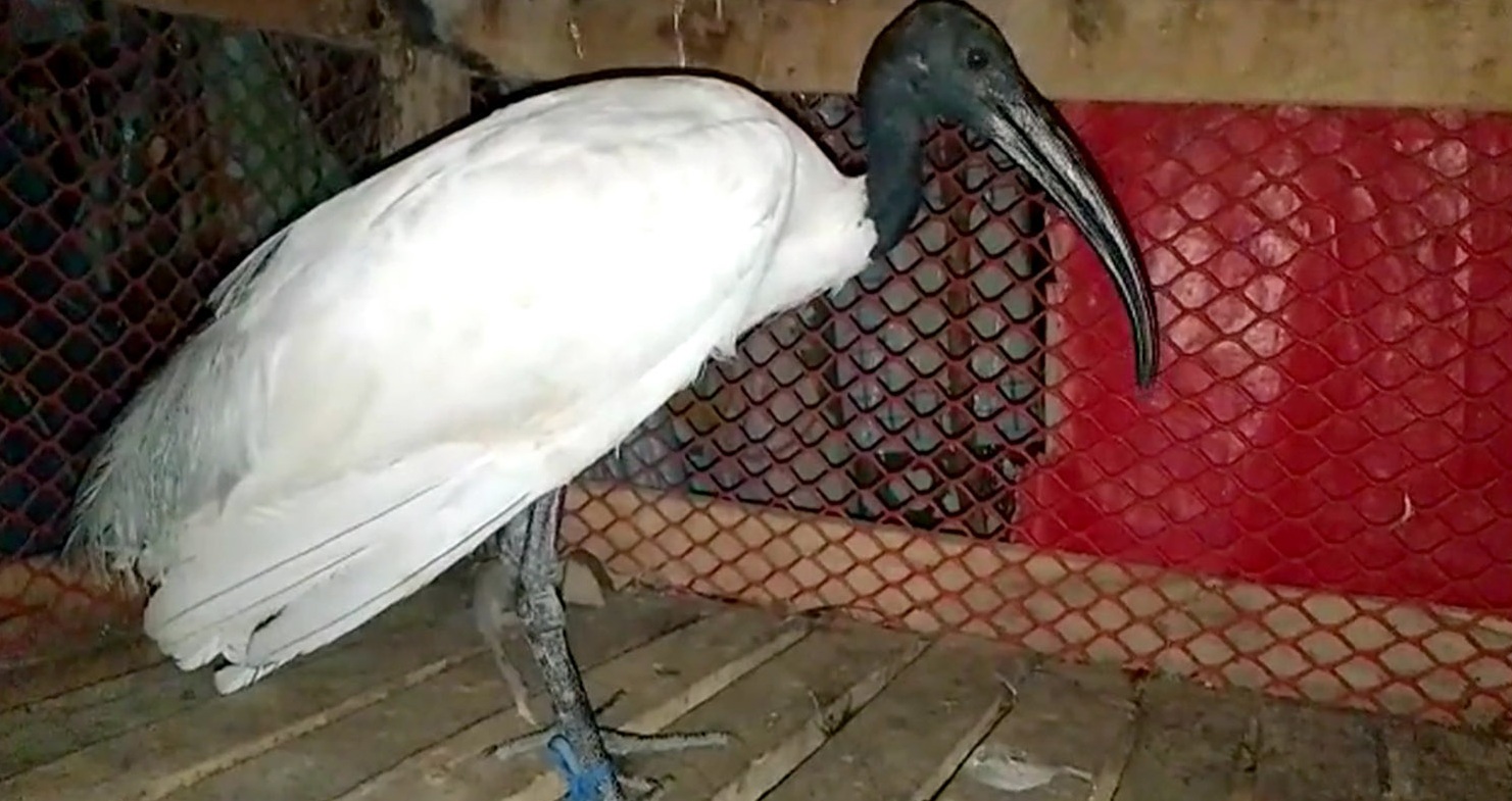 48c065ac-cbbe-47dd-b125-e7d6db693f04