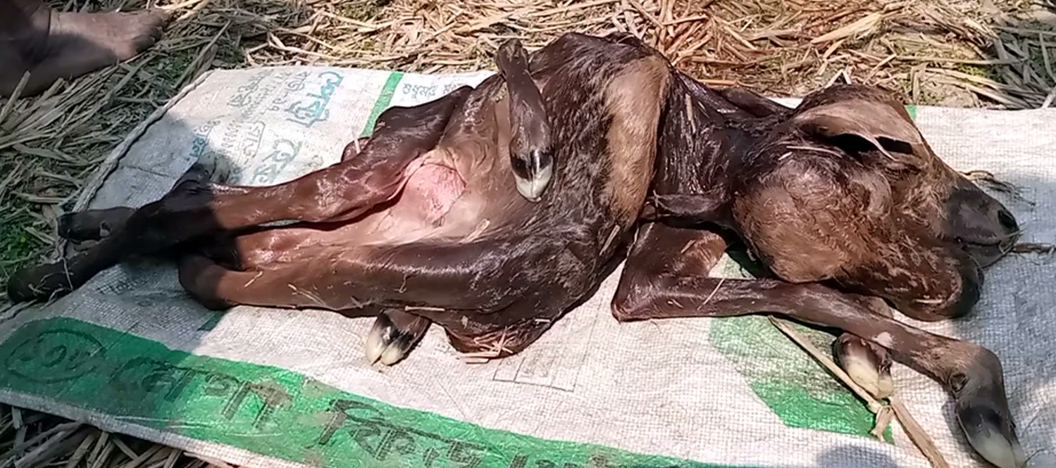 2486d0d5-49c7-4de3-a568-360578a83294