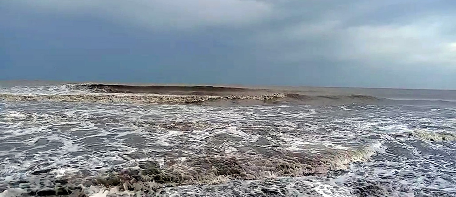 2b96e49e-1ac6-49ab-b38c-8ee35496212f