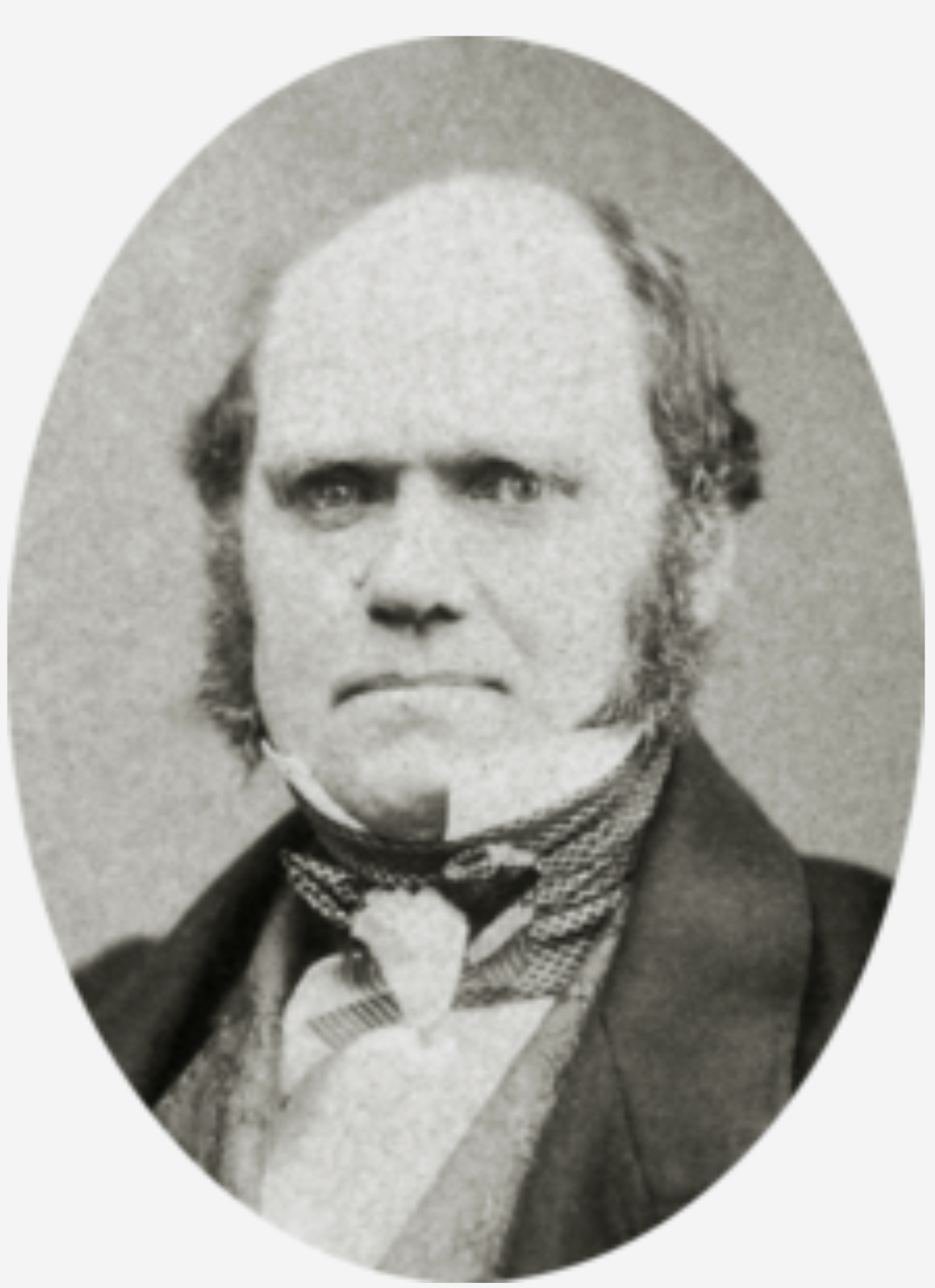 32da578b-b3b4-48f1-8f04-516fa0422351