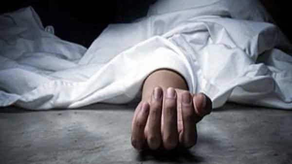 b671fe48-b03e-43d3-8a55-f19461dd912b