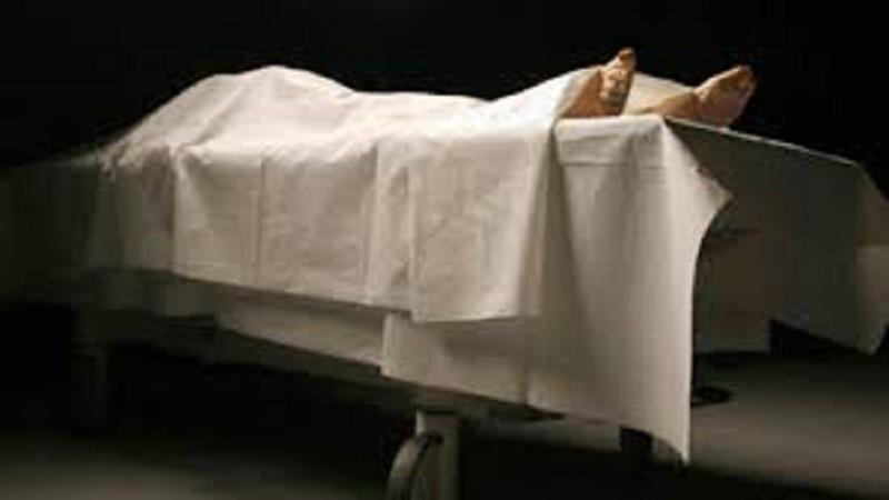 ab0e61db-057e-4004-977d-4a39339905eb