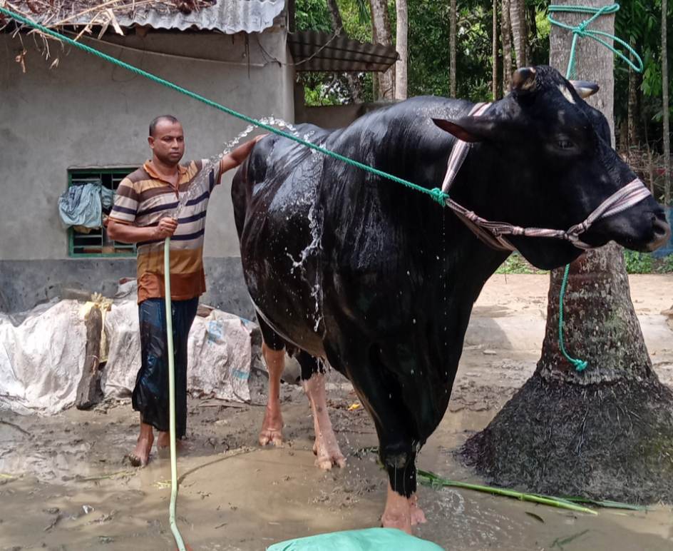 2c6e0c37-0b09-4662-9615-8eea82f89be9