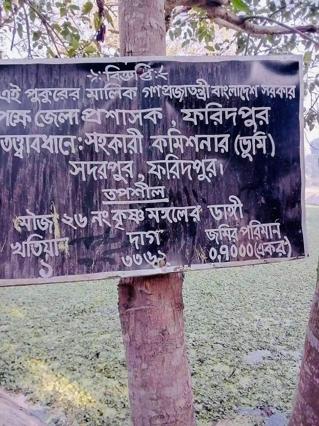 8ae7ee76-0b66-41d9-b06c-72542eb46240